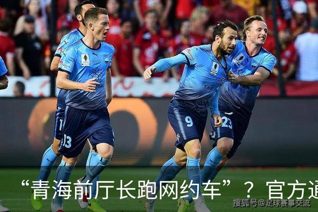 “青海前厅长跑网约车”？官方通报来了