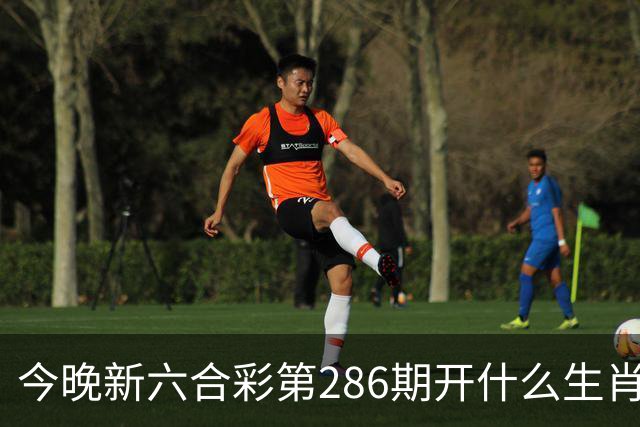 今晚新六合彩第286期开什么生肖特码，澳门内部三中三资料查询一肖一码中特内部猛料查询