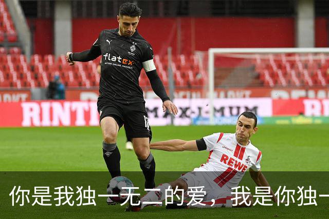 你是我独一无二的爱，我是你独一无二的无可替代