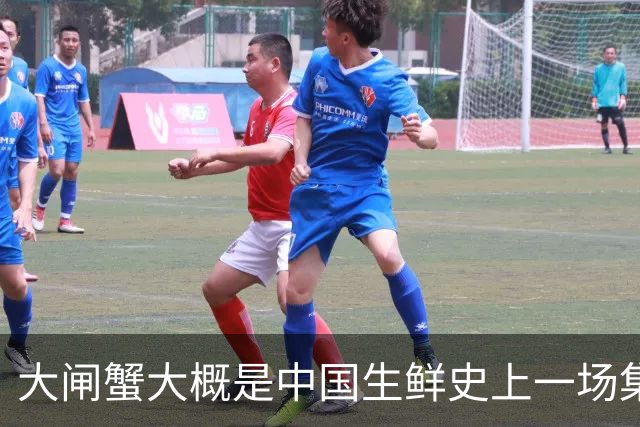 大闸蟹大概是中国生鲜史上一场集体催眠。