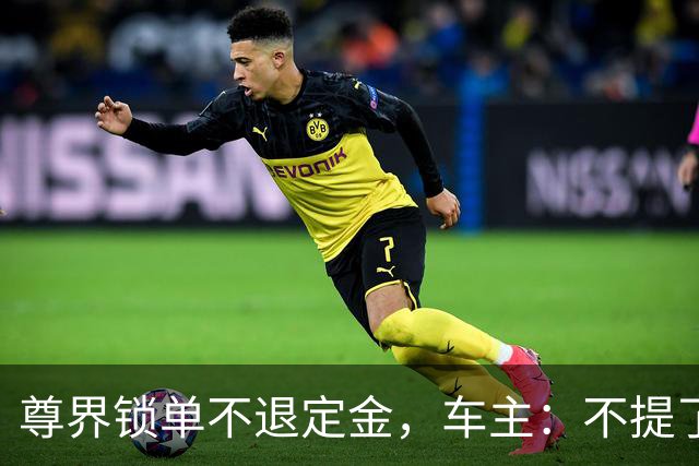 尊界锁单不退定金，车主：不提了，定金也不要了