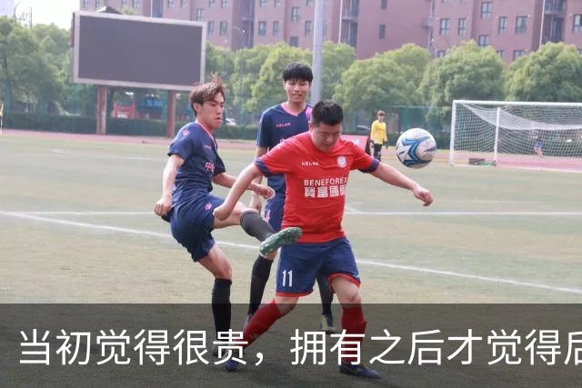 当初觉得很贵，拥有之后才觉得后悔没早买 网友：这我太有发言权了