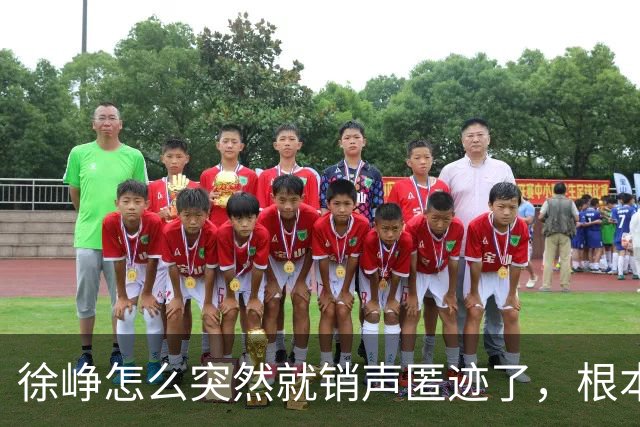 徐峥怎么突然就销声匿迹了，根本不是单纯过气，原来是整个影视圈都不敢用他