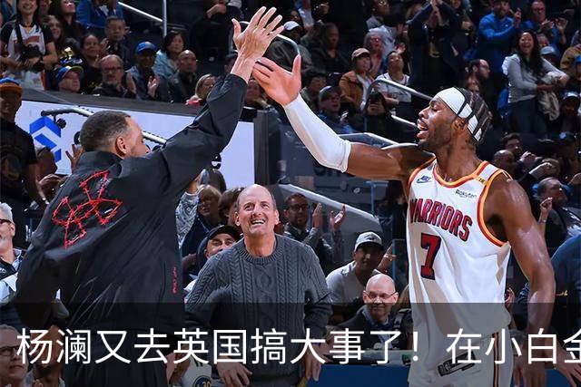 杨澜又去英国搞大事了！在小白金汉宫办中国非遗展，吴征也去了
