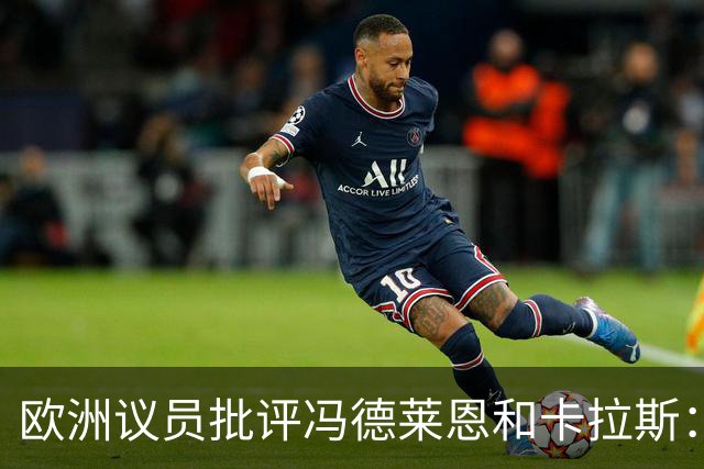 欧洲议员批评冯德莱恩和卡拉斯：他们谴责俄选举，却无视乌未选举