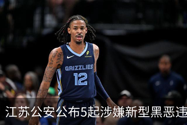 江苏公安公布5起涉嫌新型黑恶违法犯罪典型案例