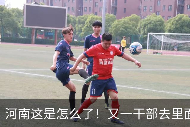 河南这是怎么了！又一干部去里面过节了，何必呢？