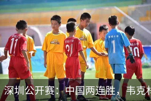 深圳公开赛：中国两连胜，韦克林轰三破百奥沙利文惨败江俊一轮游