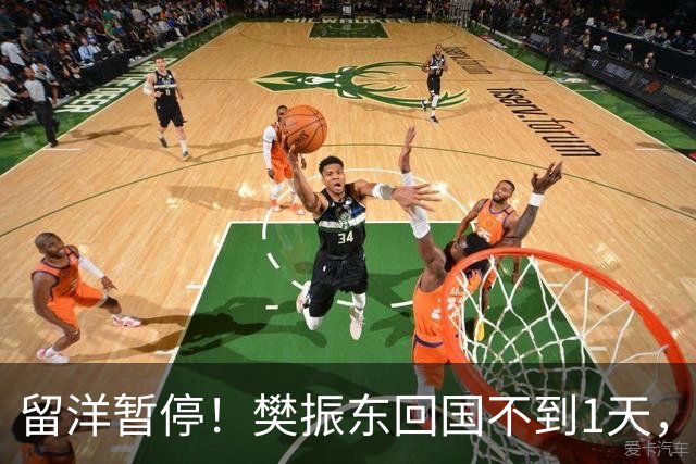 留洋暂停！樊振东回国不到1天，正式官宣新身份，终于等到这一天