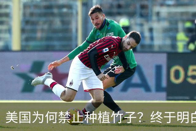 美国为何禁止种植竹子？终于明白，原来竹子比我们想象的更可怕