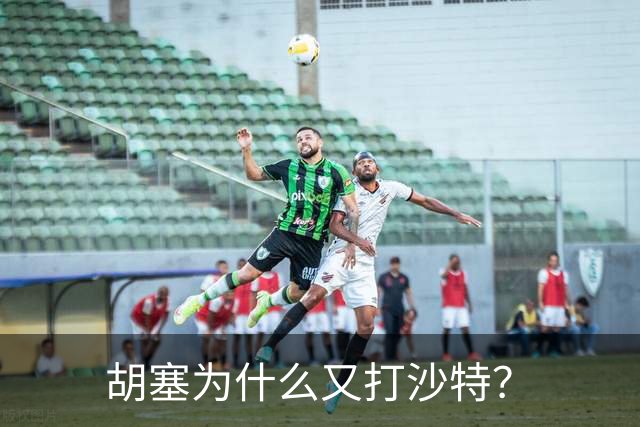 胡塞为什么又打沙特？