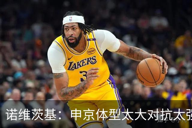 诺维茨基：申京体型太大对抗太强，马刺让他太轻松进篮下