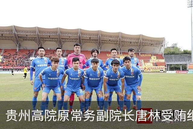 贵州高院原常务副院长唐林受贿细节曝光：一份“电冰箱市场调查报告”值330万