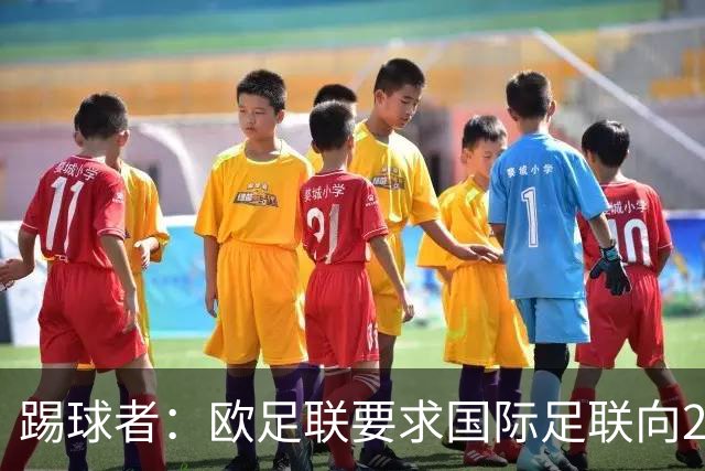 踢球者：欧足联要求国际足联向211个会员协会分配21亿美元
