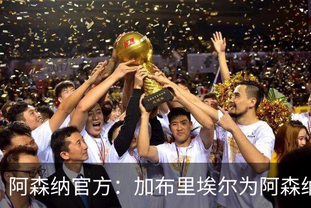 阿森纳官方：加布里埃尔为阿森纳完成200场英超出场