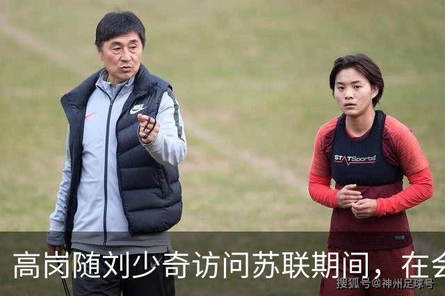 高岗随刘少奇访问苏联期间，在会议上突然提议把东北变成苏联的第17个加盟共和国，斯大林听后当场讥讽道：“张作霖同志。”