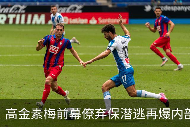 高金素梅前幕僚弃保潜逃再爆内部，背后竟牵扯“第五纵队”？