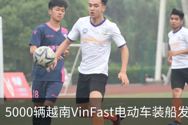 5000辆越南VinFast电动车装船发欧洲与东南亚：中国车企不该轻视这个对手了