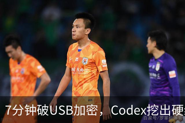 7分钟破USB加密，Codex挖出硬编码密钥