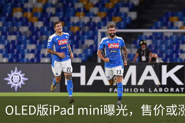 OLED版iPad mini曝光，售价或涨至799美元