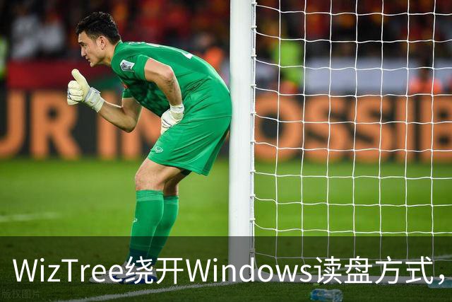 WizTree绕开Windows读盘方式，1TB硬盘扫完不到1秒